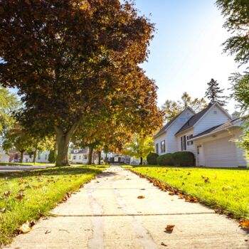 Pelouse résidentielle bien entretenue à l’automne avec des feuilles tombées au sol, illustrant l’entretien de pelouse à l’automne pour préparer le gazon avant l’hiver.